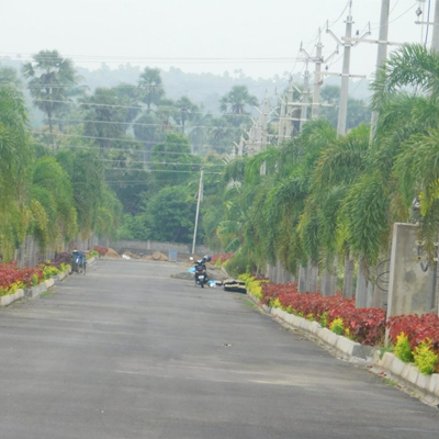 Sri Chakra Sai Meadows 03