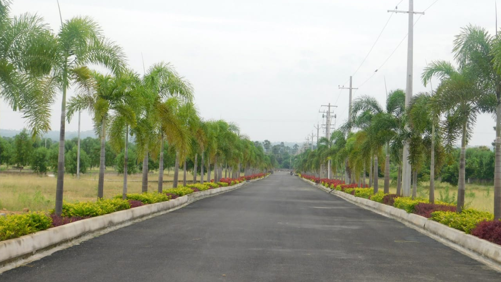 Sri Chakra Sai Meadows